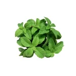 Naturalny olejek zapachowy do sauny 15 ml - Bassau - Mięta polna - obrazek 3