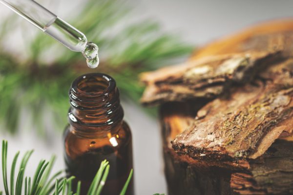 pine bark tincture dripping from glass pipette Koncentrat zapachowy do sauny 200 ml Bassau - Cedr - obrazek 2