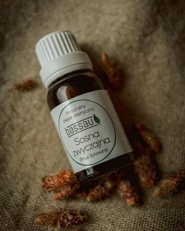 Naturalny olejek zapachowy do sauny 15 ml - Bassau - Sosna zwyczajna - obrazek 2