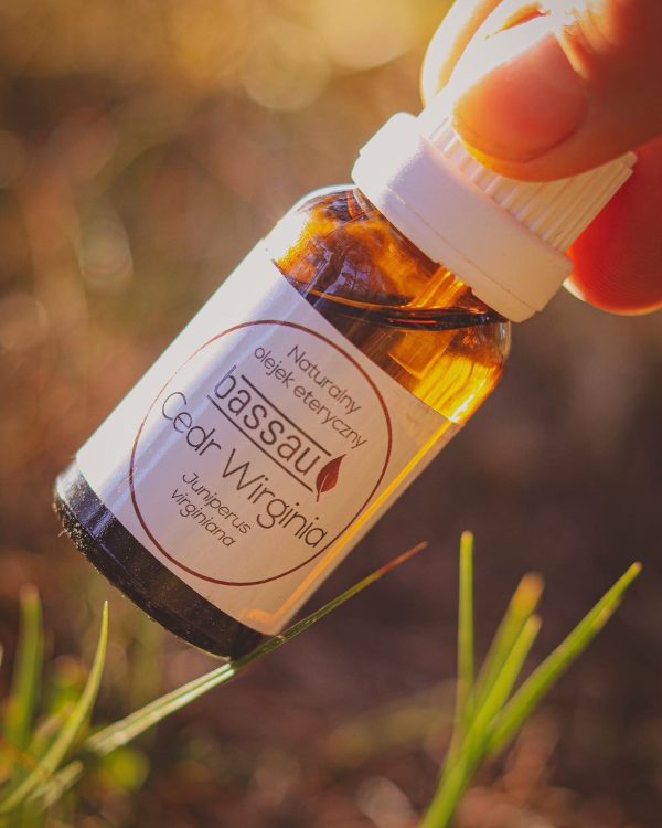 Naturalny olejek zapachowy do sauny 15 ml - Bassau - Cedr Wirginia - obrazek 2