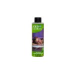 Aqua-Excellent Zapach do Spa i jacuzzi Eucaliptus Mint 200ml